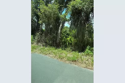 Seaman Avenue, Saint Cloud, FL 34772 - Photo 4
