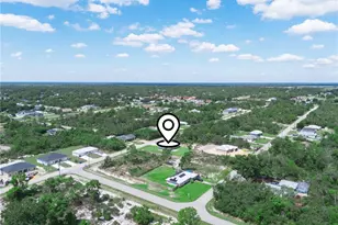 270 Lincoln Rd NE, Lake Placid, FL 33852 - Photo 22