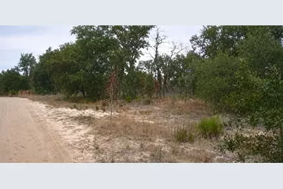 123Xx NE 85th Street, Bronson, FL 32621 - Photo 4