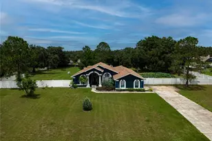 31439 Stirrup Ln, Wesley Chapel, FL 33543 - Photo 2
