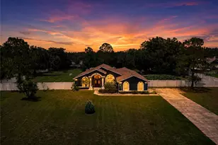 31439 Stirrup Ln, Wesley Chapel, FL 33543 - Photo 1