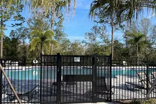 17245 Cagan Crossings Blvd, Clermont, FL 34714 - Photo 46