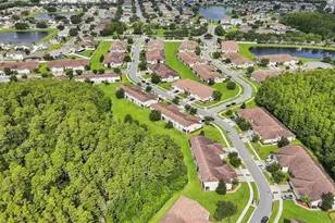 2260 Painter Ln, Kissimmee, FL 34741 - Photo 54