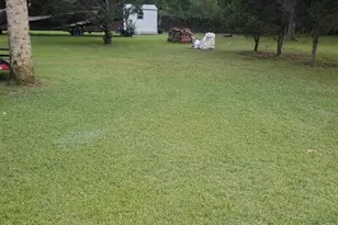105 Canary Ln, Satsuma, FL 32189 - Photo 32