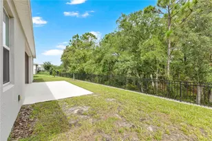 6035 Blue Vw Wy, Saint Cloud, FL 34771 - Photo 24