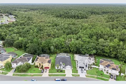 2529 Jasmine Trace Drive, Kissimmee, FL 34758 - Photo 52