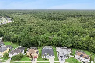 2529 Jasmine Trace Dr, Kissimmee, FL 34758 - Photo 52