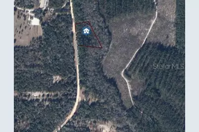 49 Tobe Retherford Road, Bonifay, FL 32425 - Photo 2