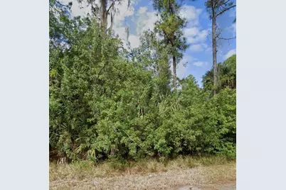 340 Nathan Avenue, Lehigh Acres, FL 33974 - Photo 2