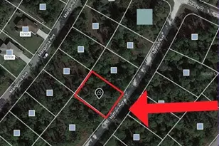 340 Nathan Ave, Lehigh Acres, FL 33974 - Photo 1