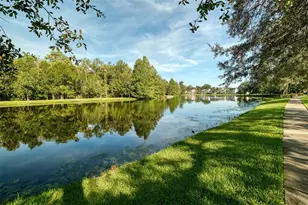 513 Mirasol Cir, Celebration, FL 34747 - Photo 50