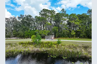 3333 Bracken Fern Dr, Saint Cloud, FL 34773 - Photo 54