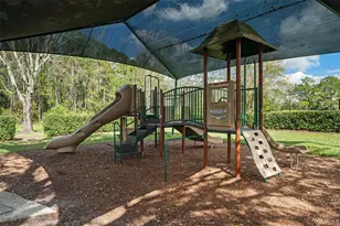 3333 Bracken Fern Dr, Saint Cloud, FL 34773 - Photo 60