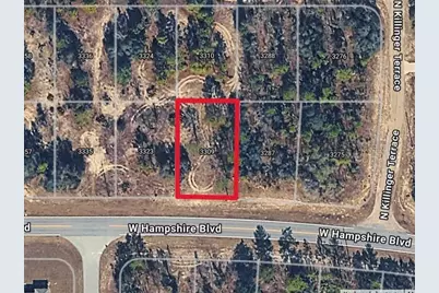 3309 W Hampshire Boulevard, Citrus Springs, FL 34433 - Photo 1