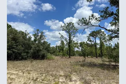 3309 W Hampshire Boulevard, Citrus Springs, FL 34433 - Photo 4