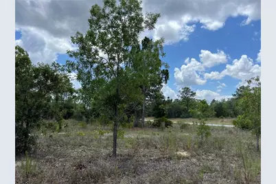 3309 W Hampshire Boulevard, Citrus Springs, FL 34433 - Photo 8