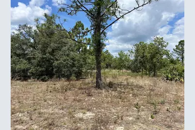 3309 W Hampshire Boulevard, Citrus Springs, FL 34433 - Photo 6