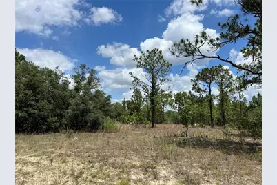 3323 W Hampshire Boulevard, Citrus Springs, FL 34433 - Photo 4
