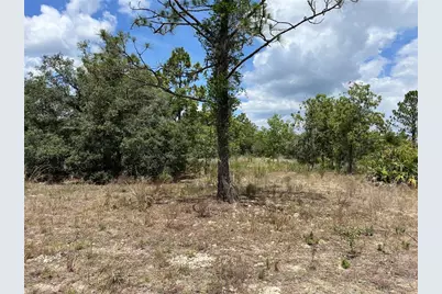 3323 W Hampshire Boulevard, Citrus Springs, FL 34433 - Photo 6