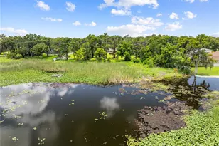2557 Ames Haven Rd, Kissimmee, FL 34744 - Photo 6