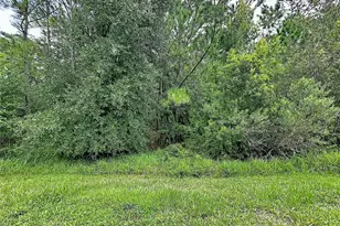 786 Cielo Trail, Kissimmee, FL 34759 - Photo 54