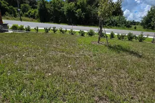 904 Harold Pass, Winter Haven, FL 33884 - Photo 32