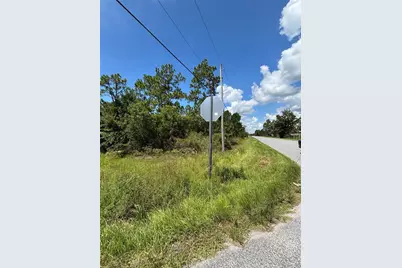 Dallas Blvd, Orlando, FL 32833 - Photo 6