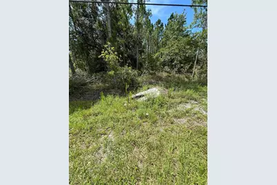 Dallas Blvd, Orlando, FL 32833 - Photo 12
