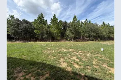 125 Edgewood Boulevard, Lake Wales, FL 33898 - Photo 8