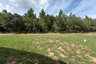 125 Edgewood Blvd, Lake Wales, FL 33898 - Photo 8
