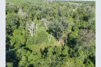 3901 181st Road, Live Oak, FL 32060 - Photo 26