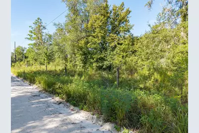 3901 181st Road, Live Oak, FL 32060 - Photo 10