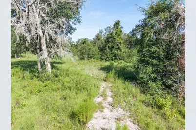 3901 181st Road, Live Oak, FL 32060 - Photo 20