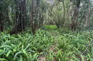 Jones Ave, Sanford, FL 32773 - Photo 1
