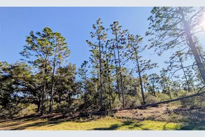609 Indian Lake Drive, Indian Lake Estates, FL 33855 - Photo 2