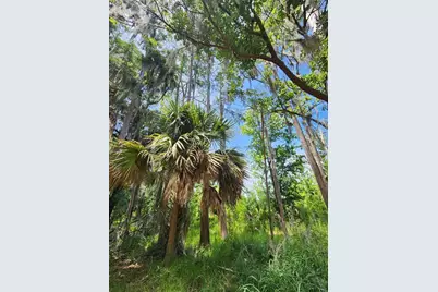 Arrowhead Boulevard, Winter Garden, FL 34787 - Photo 2
