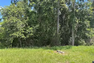 2463 Pecos Ln, Poinciana, FL 34759 - Photo 2
