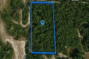 X, Citra, FL 32113 - Photo 1