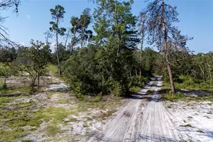 40200 Swift Rd, Eustis, FL 32736 - Photo 26