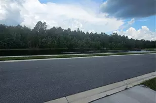 1504 Fox Squirrel Dr, Davenport, FL 33897 - Photo 8