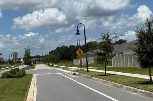 4241 N Little Owl Ln, Kissimmee, FL 34746 - Photo 24