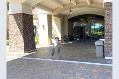 442 Del Sol Ave, Davenport, FL 33837 - Photo 28