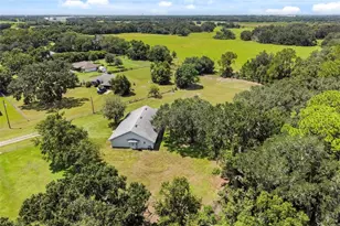 3546 Futch Rd, Plant City, FL 33566 - Photo 36