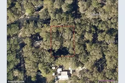 20316 Baldpate Road, Altoona, FL 32702 - Photo 4