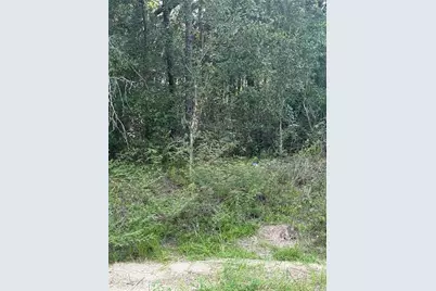 10860 N Mataro Avenue, Citrus Springs, FL 34434 - Photo 6
