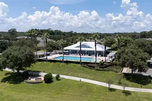 2336 Natoma Blvd, Mount Dora, FL 32757 - Photo 14