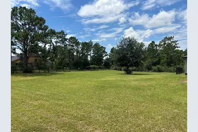 19512 Majestic Street, Orlando, FL 32833 - Photo 46