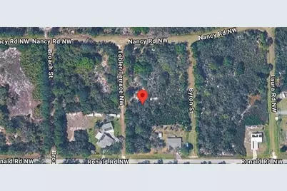 104 Tobler Terrace NW, Lake Placid, FL 33852 - Photo 4