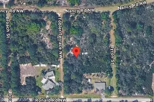 104 Tobler Terrace NW, Lake Placid, FL 33852 - Photo 4