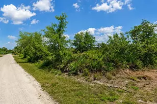 104 Tobler Terrace NW, Lake Placid, FL 33852 - Photo 2